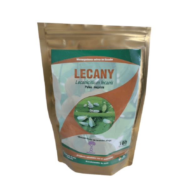 LECANY